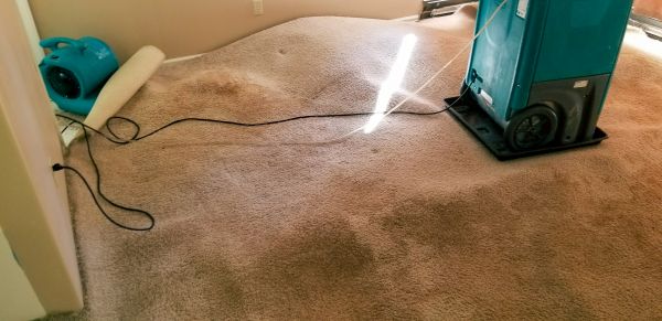 Cost of Flood Damage Cleanup in Seattle