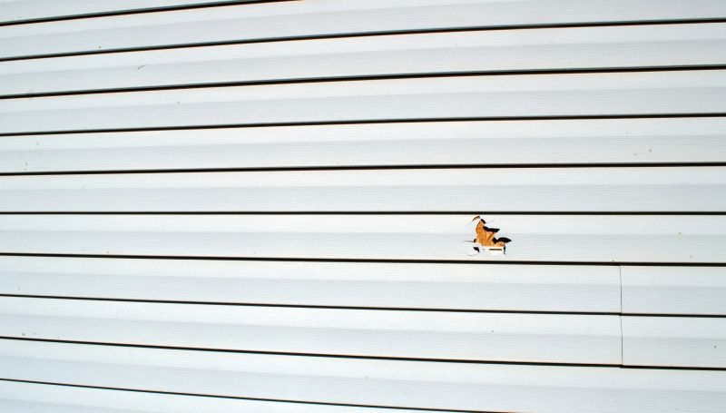 Siding and Exterior Restoration